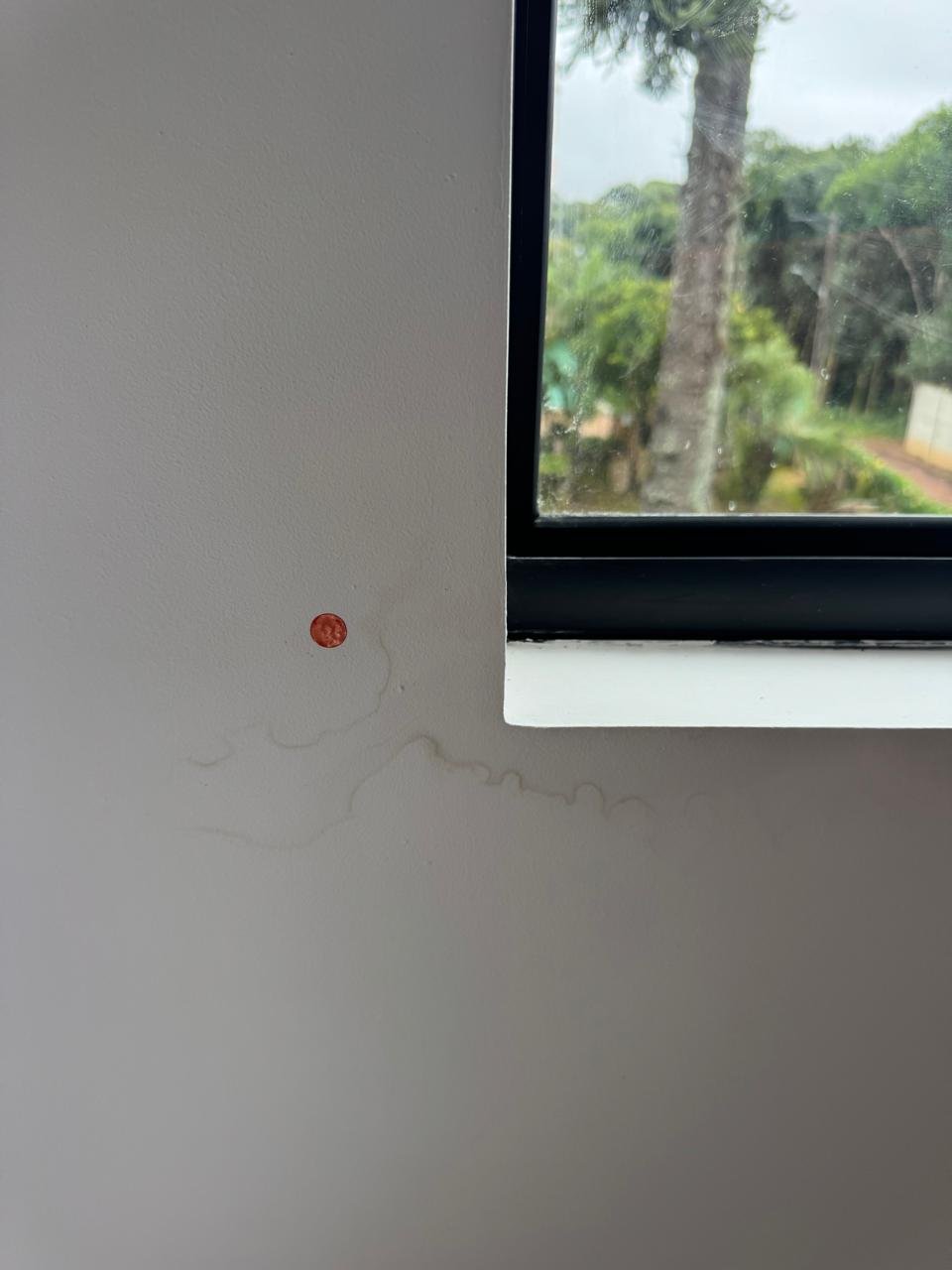 Infiltração pela esquadria